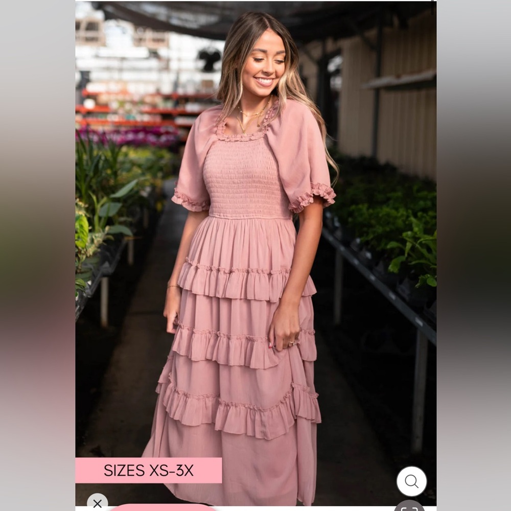 NWT Mauve Elegant Pink Ruffle Dress